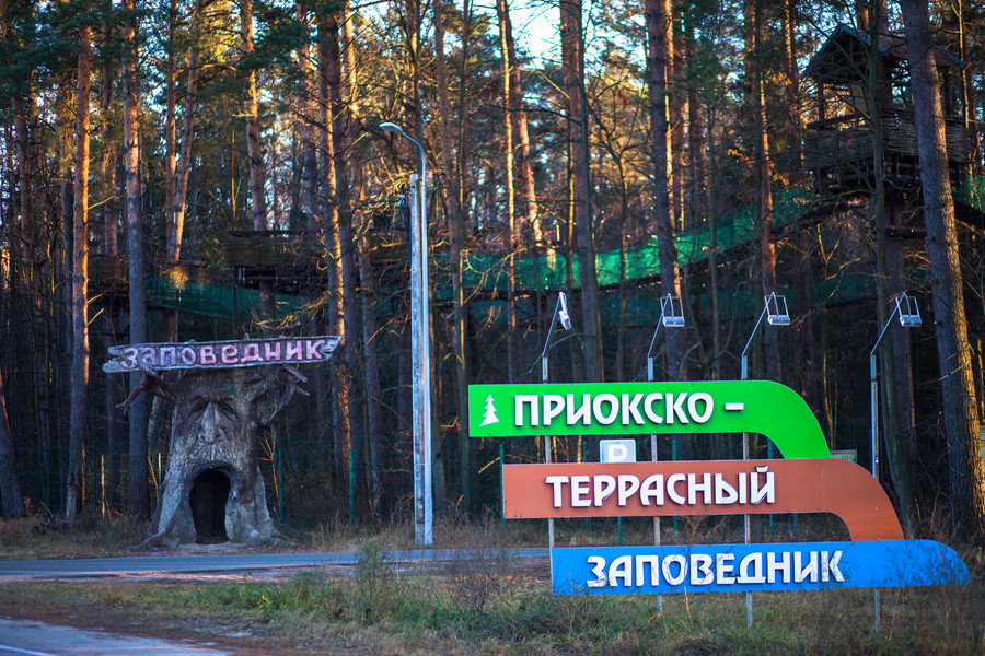 Экотуризм в Подмосковье